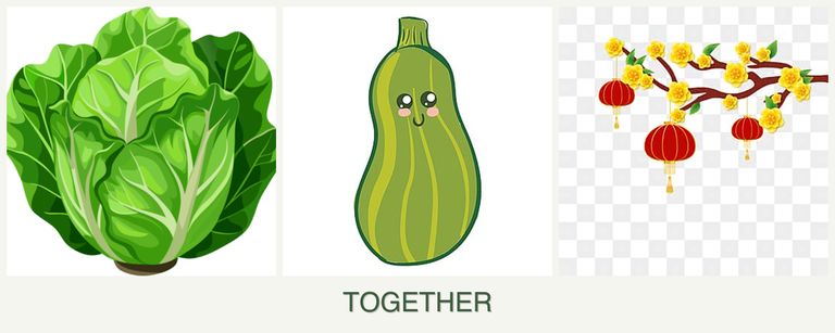 Can you plant lettuce, zucchini and apricots together?