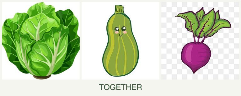 Can you plant lettuce, zucchini and beets together?