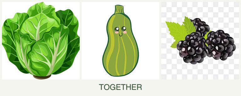 Can you plant lettuce, zucchini and blackberries together?