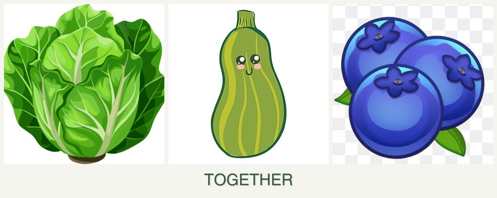 Can you plant lettuce, zucchini and blueberries together?