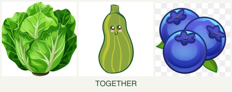 Can you plant lettuce, zucchini and blueberries together?