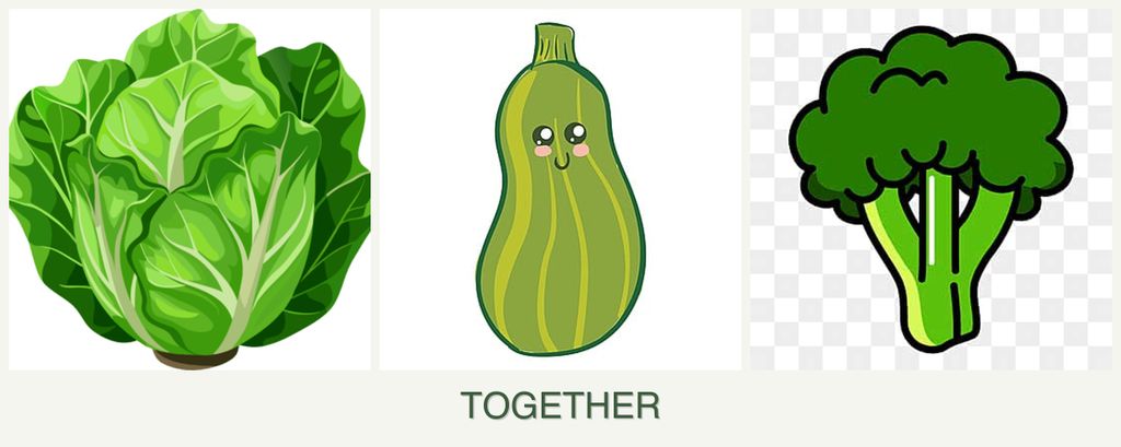 Can you plant lettuce, zucchini and broccoli together?