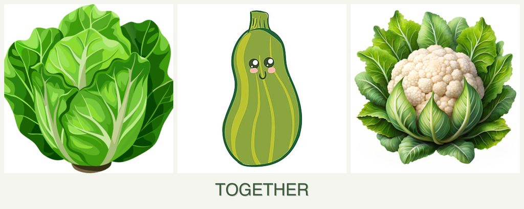 Can you plant lettuce, zucchini and cauliflower together?