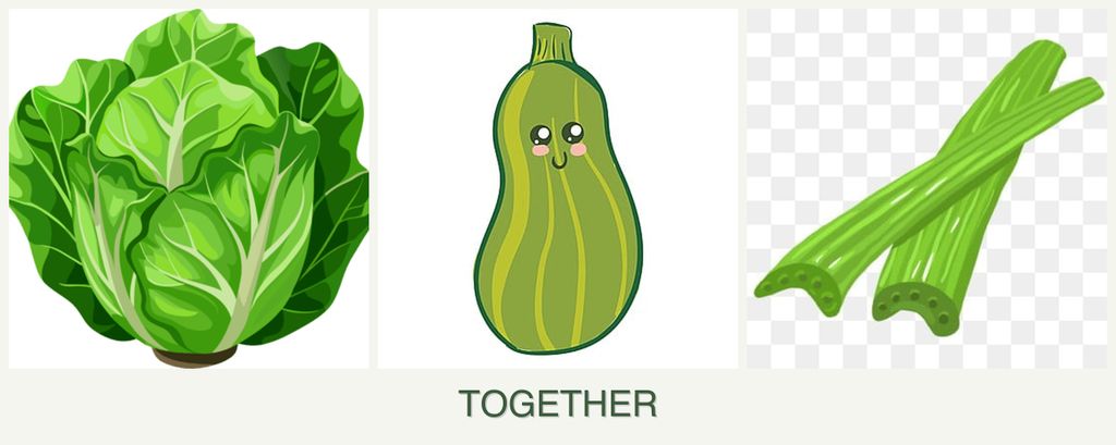 Can you plant lettuce, zucchini and celery together?