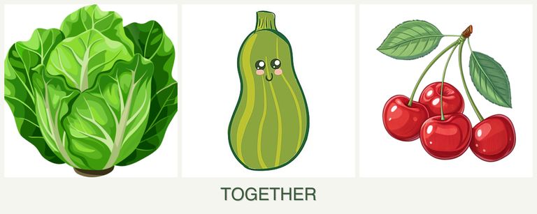 Can you plant lettuce, zucchini and cherries together?