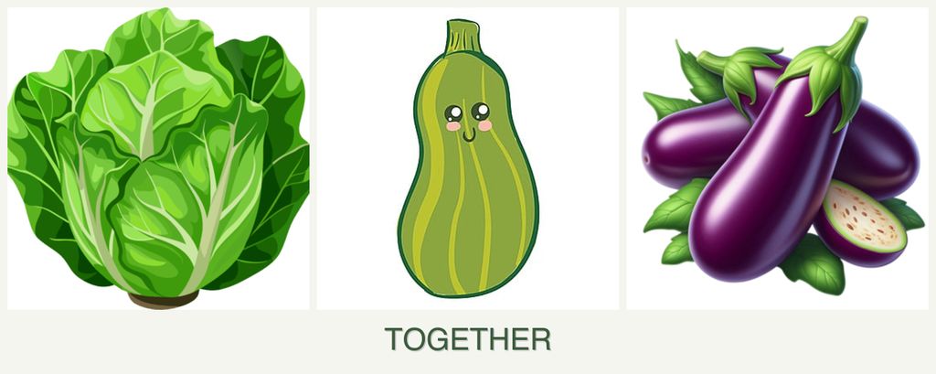 Can you plant lettuce, zucchini and eggplant together?