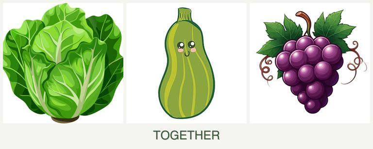 Can you plant lettuce, zucchini and grapes together?