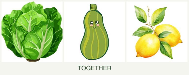 Can you plant lettuce, zucchini and lemons together?