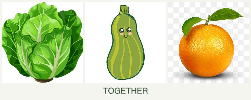 Can you plant lettuce, zucchini and oranges together?