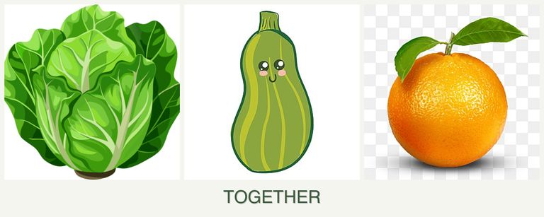 Can you plant lettuce, zucchini and oranges together?