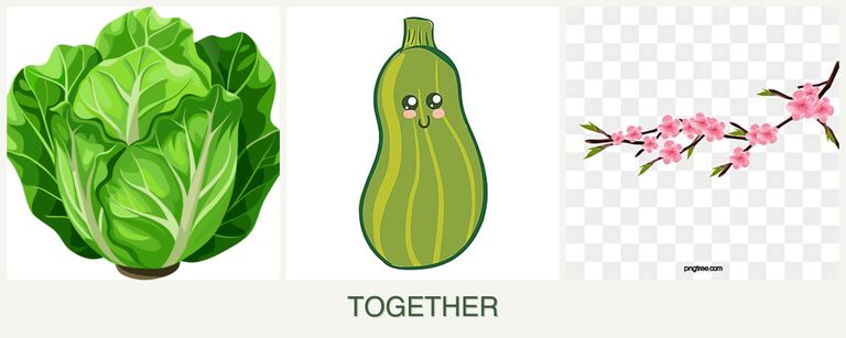 Can you plant lettuce, zucchini and peaches together?