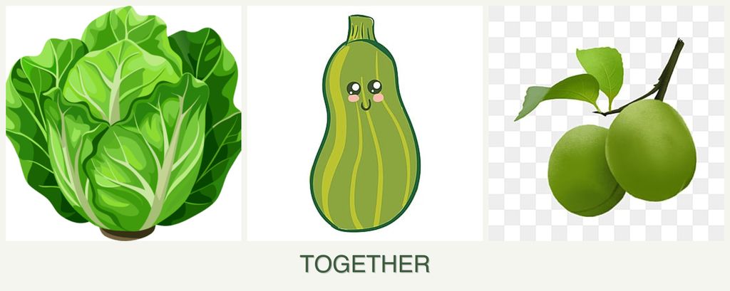 Can you plant lettuce, zucchini and plums together?