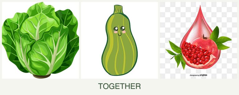 Can you plant lettuce, zucchini and pomegranates together?