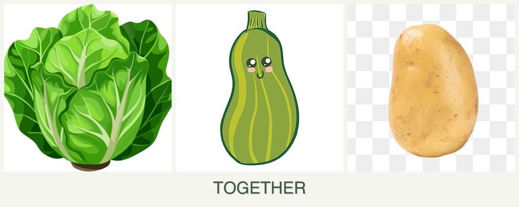 Can you plant lettuce, zucchini and potatoes together?