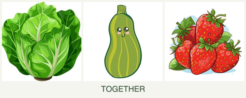 Can you plant lettuce, zucchini and strawberries together?