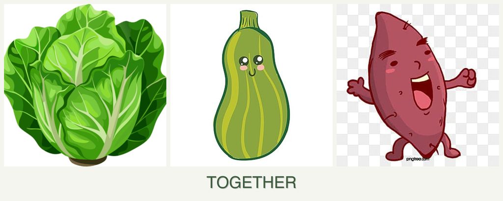 Can you plant lettuce, zucchini and sweet potatoes together?