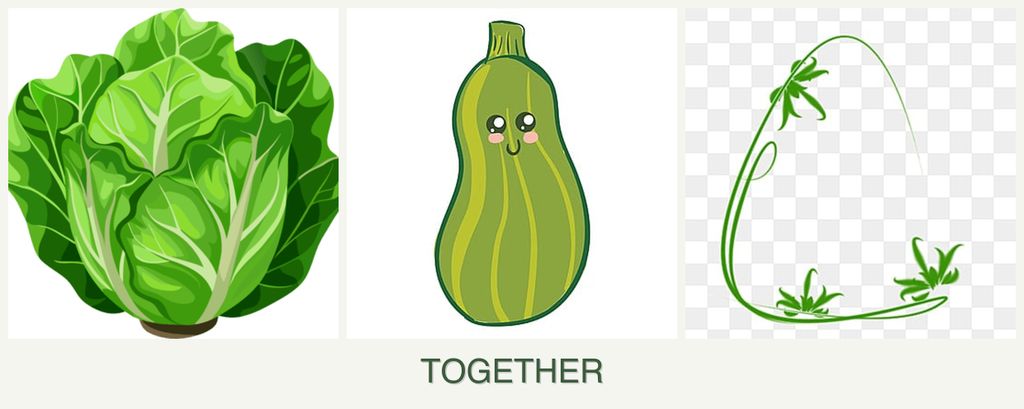 Can you plant lettuce, zucchini and tarragon together?