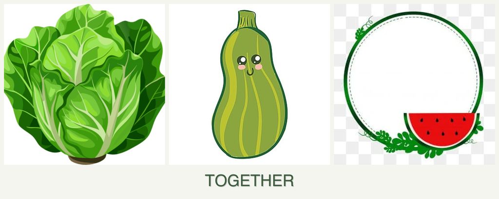Can you plant lettuce, zucchini and watermelons together?