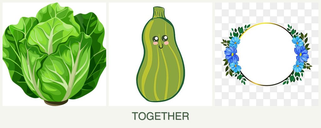 Can you plant lettuce, zucchini and zinnias together?