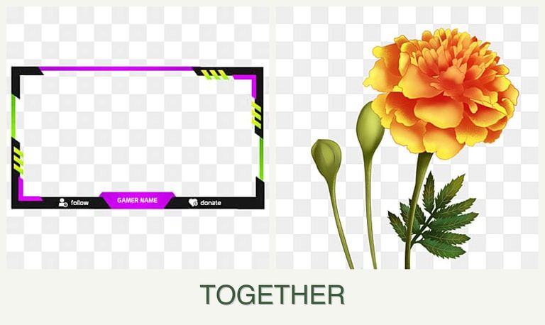 Can you plant limes and marigolds together?