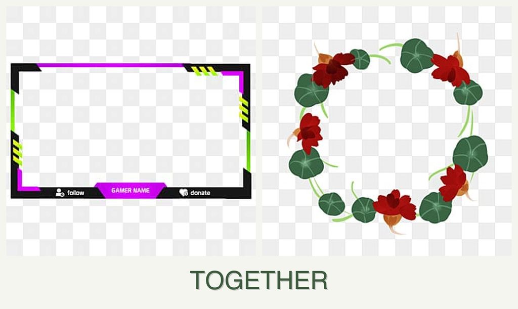 Can you plant limes and nasturtiums together?