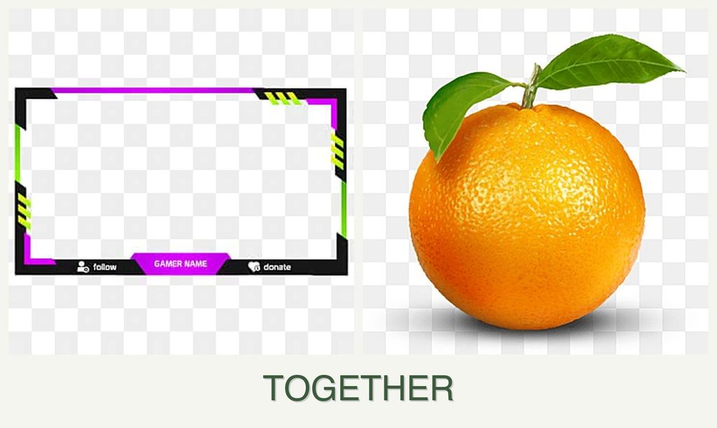 Can you plant limes and oranges together?