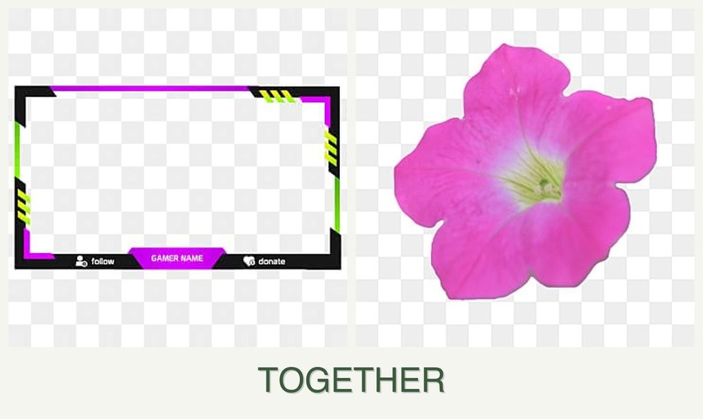 Can you plant limes and petunias together?