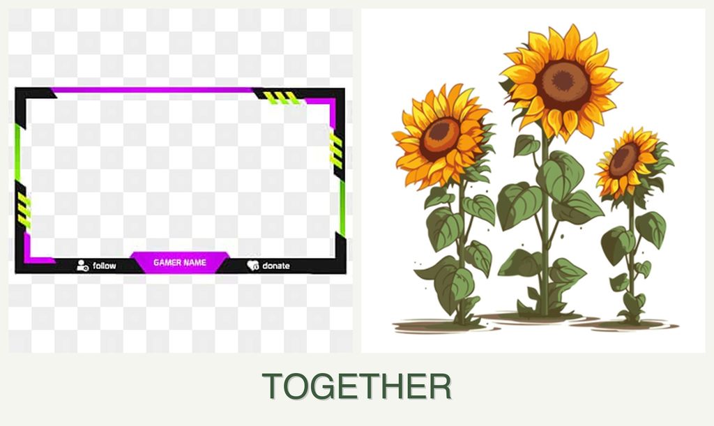 Can you plant limes and sunflowers together?