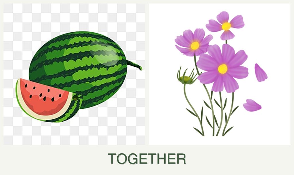 Can you plant melons and cosmos together?