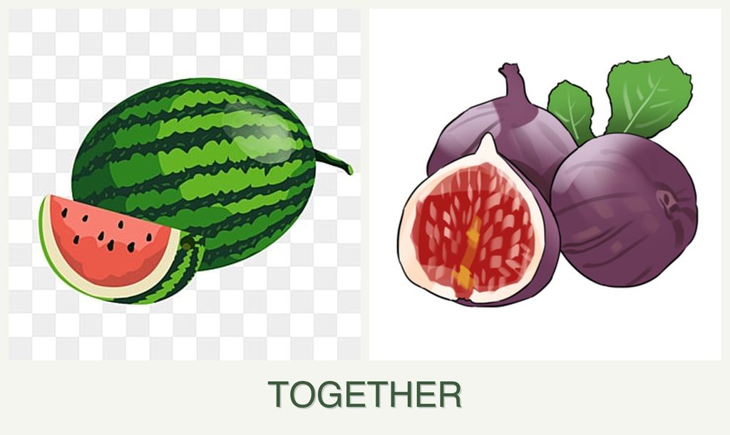 Can you plant melons and figs together?