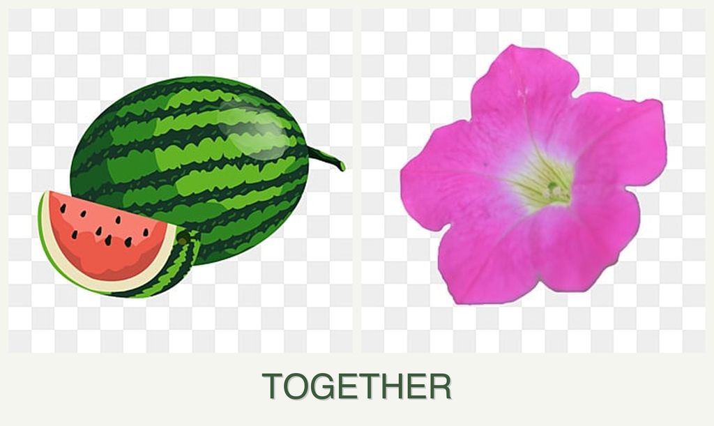 Can you plant melons and petunias together?
