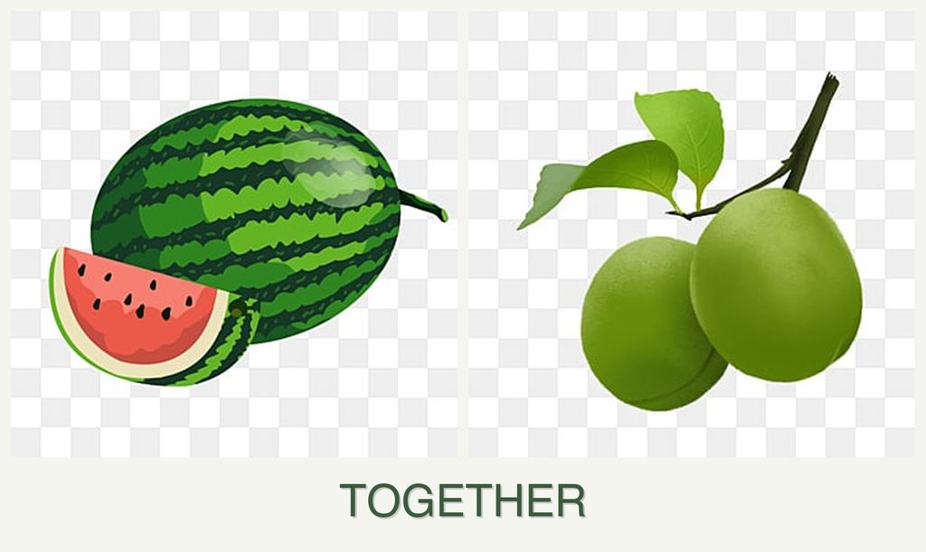 Can you plant melons and plums together?