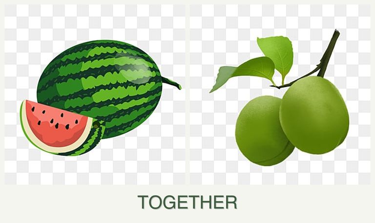 Can you plant melons and plums together?