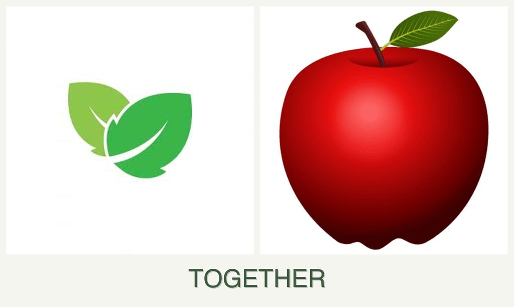 Can you plant mint and apples together?