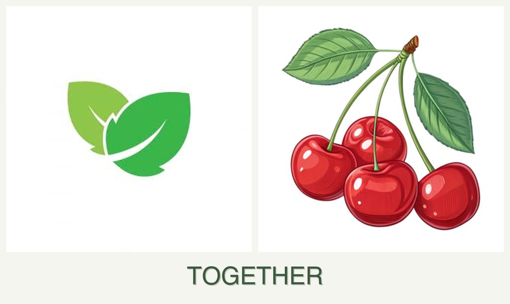 Can you plant mint and cherries together?