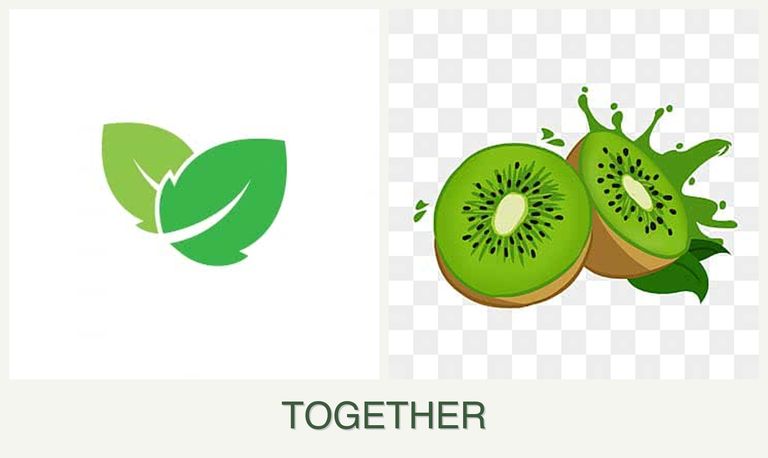 Can you plant mint and kiwi together?
