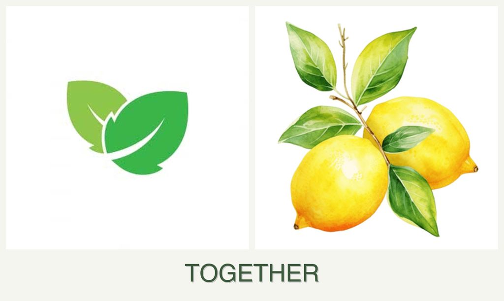 Can you plant mint and lemons together?