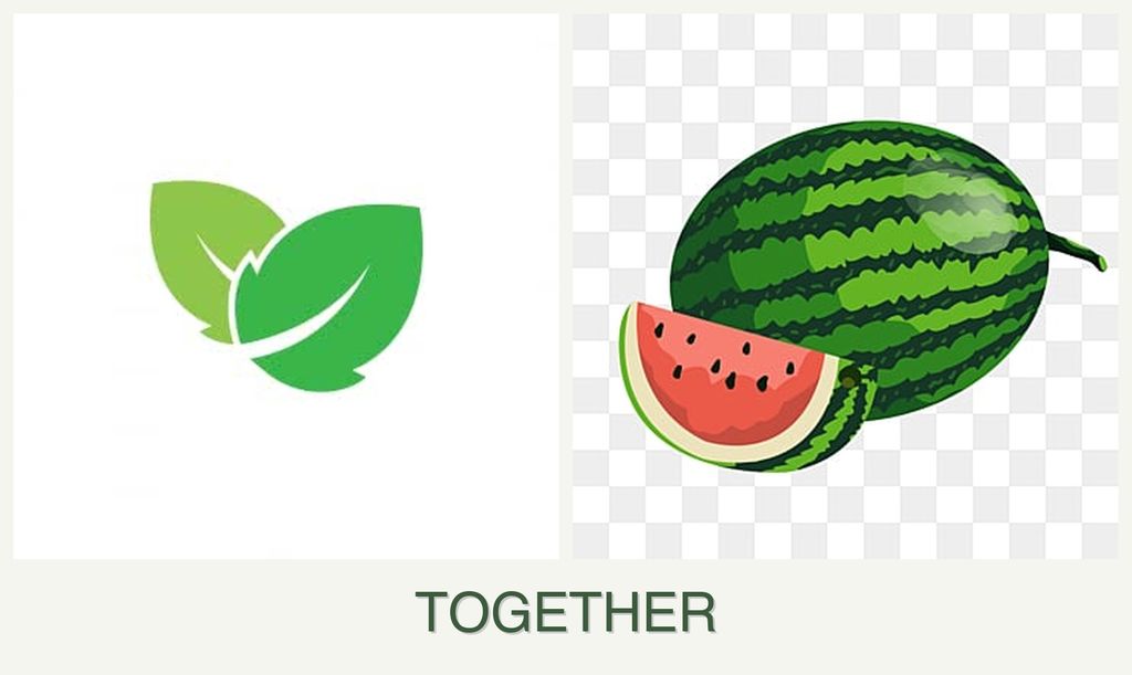Can you plant mint and melons together?