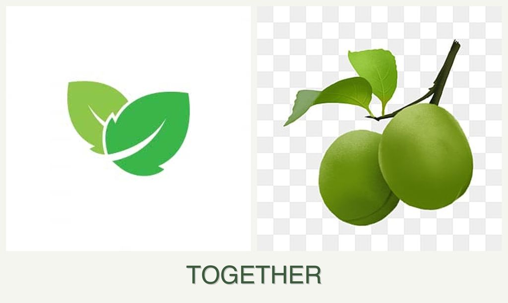 Can you plant mint and plums together?