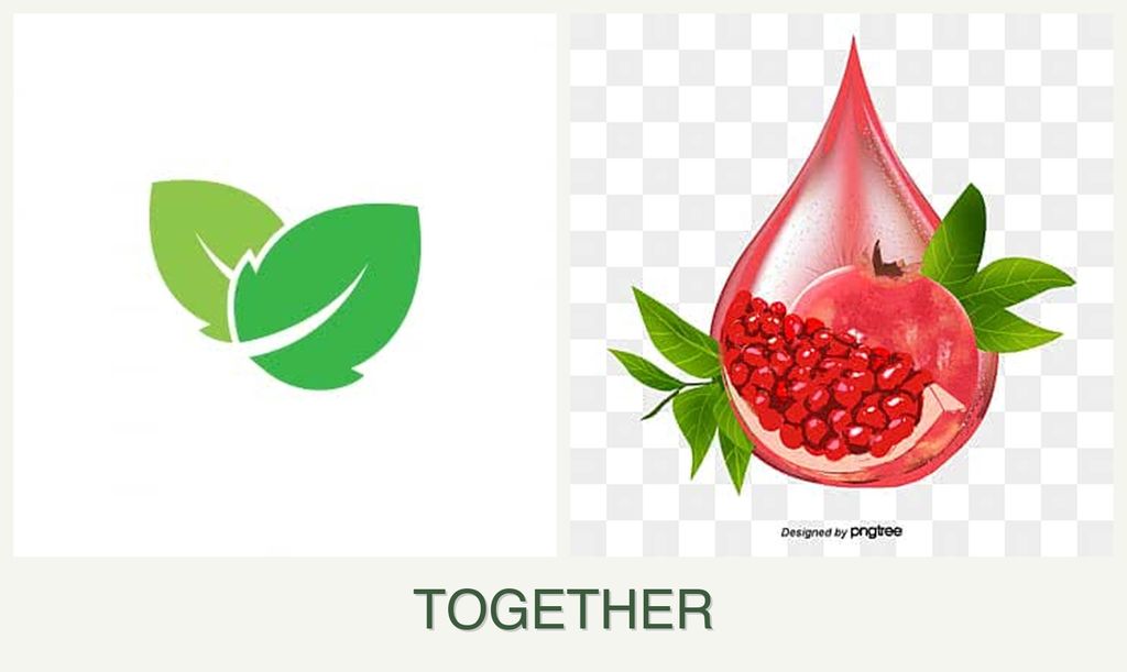 Can you plant mint and pomegranates together?