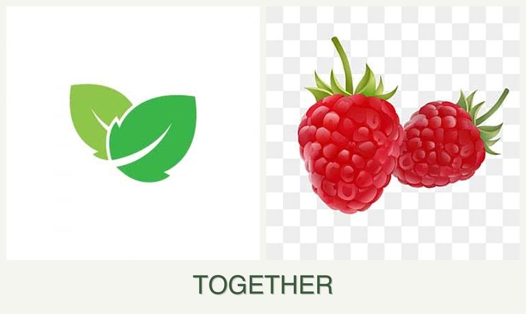 Can you plant mint and raspberries together?