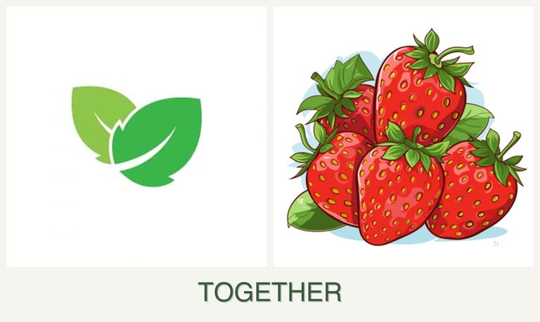 Can you plant mint and strawberries together?