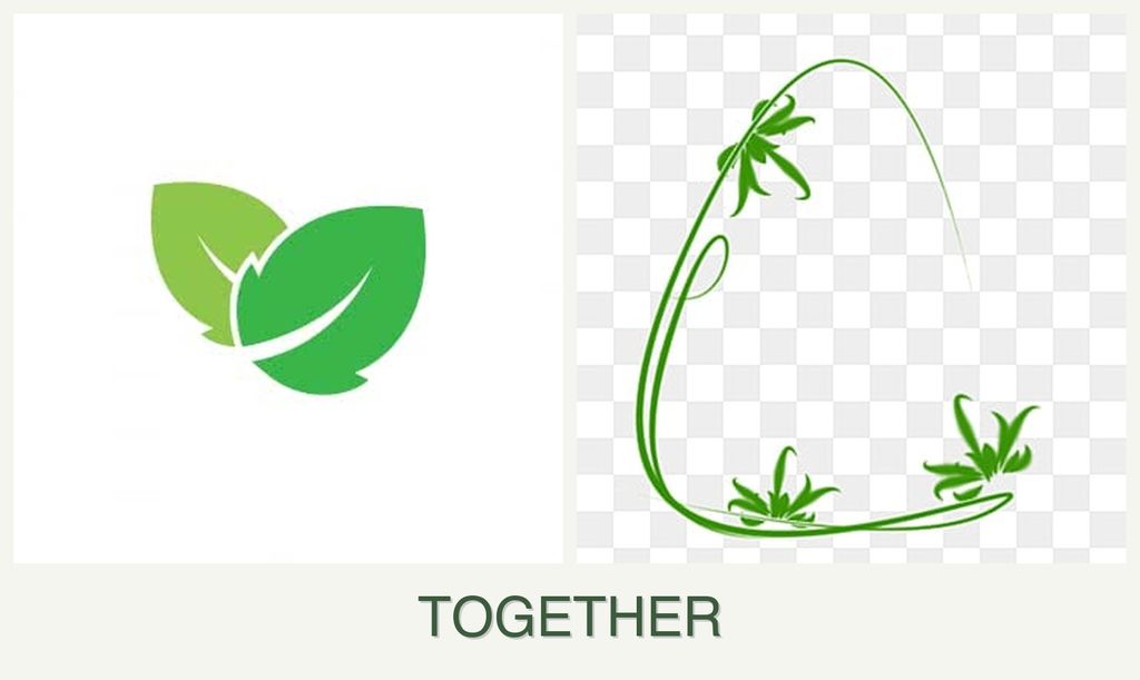 Can you plant mint and tarragon together?