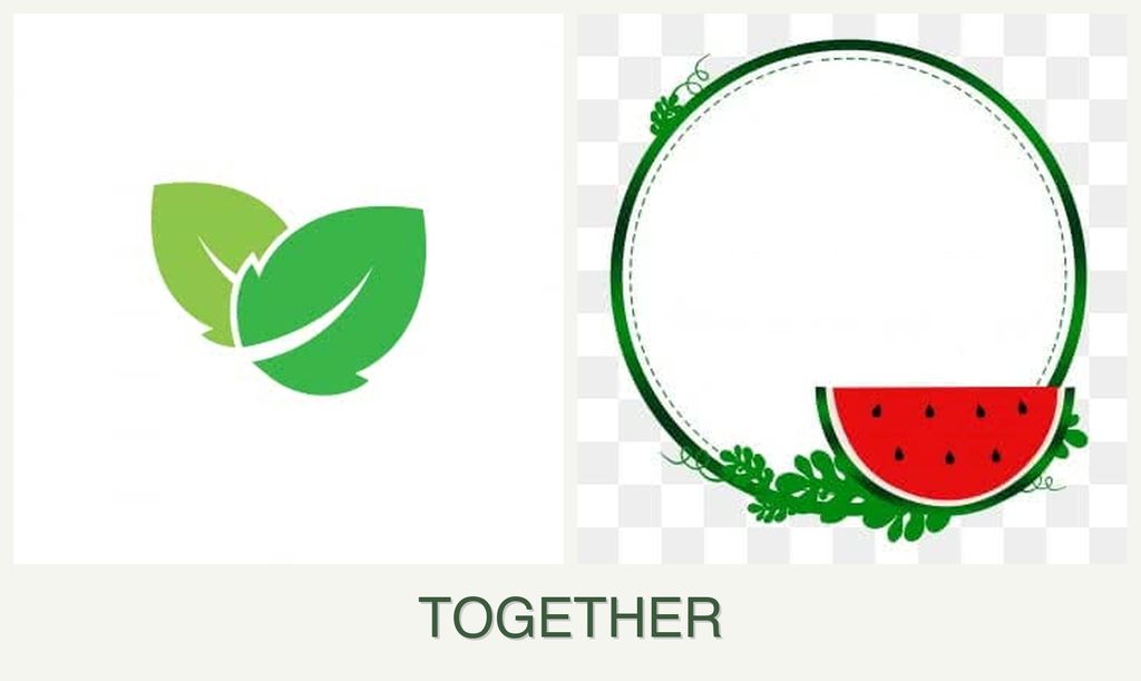 Can you plant mint and watermelons together?