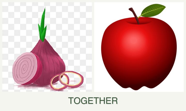 Can you plant onions and apples together?