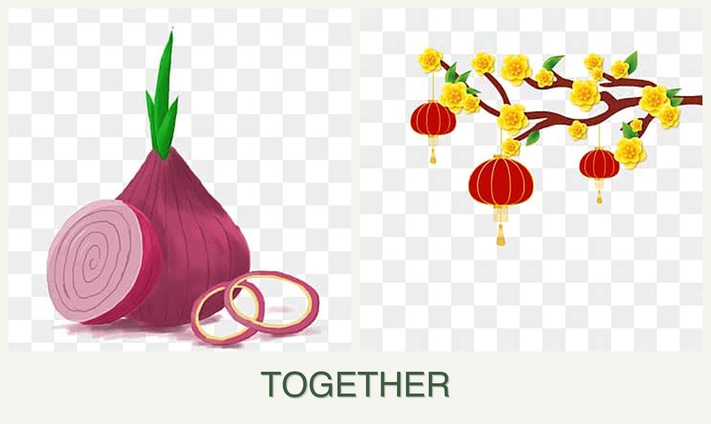 Can you plant onions and apricots together?