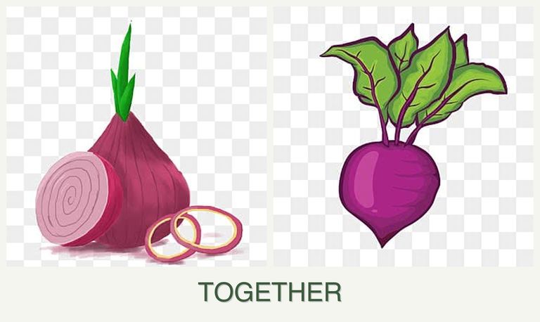 Can you plant onions and beets together?