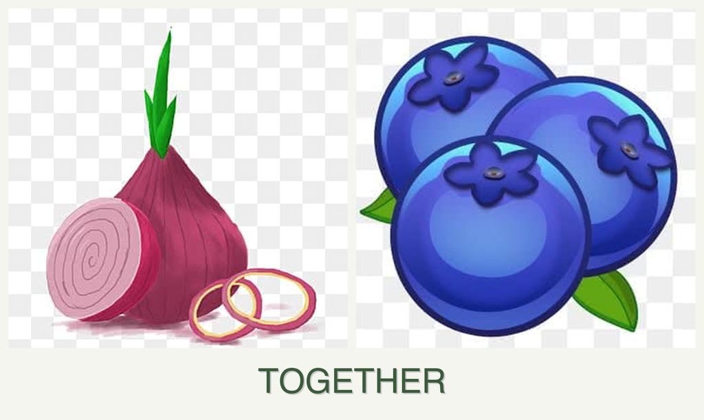 Can you plant onions and blueberries together?