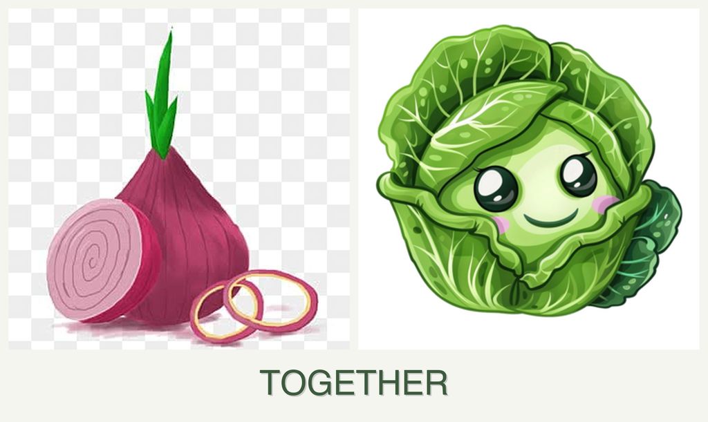 Can you plant onions and cabbage together?
