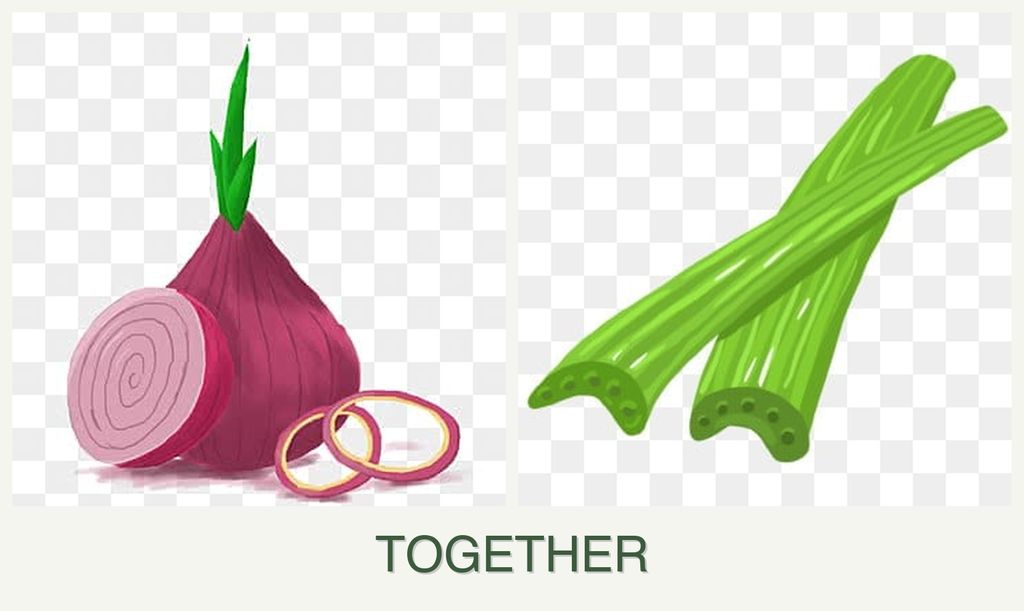 Can you plant onions and celery together?